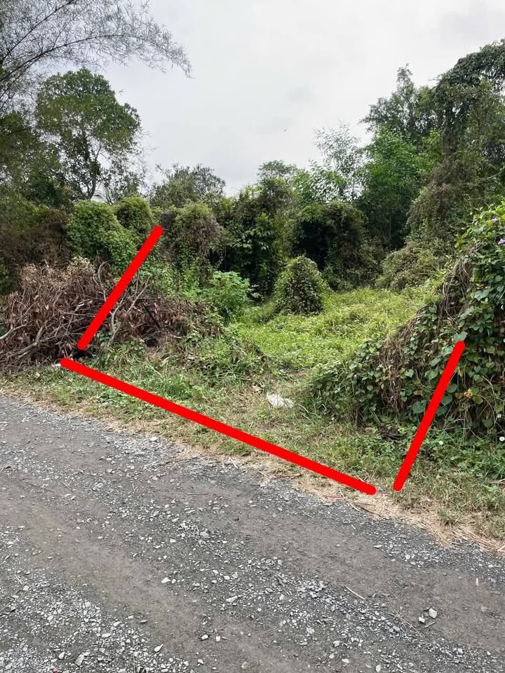 Đất nền Tân An Hội Củ Chi 100m² giá chỉ 380 triệu - Sổ đỏ chính chủ