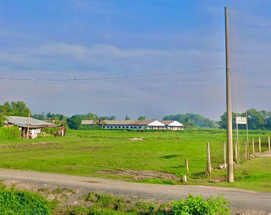 Đất vườn mặt tiền đường 111, xã Tân Thạnh Đông 1784m² giá 5.352 tỷ - Cơ hội đầu tư tuyệt vời!