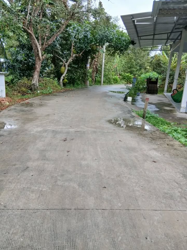 Đất Giai Xuân, Phong Điền, Cần Thơ 2424m² giá 2.55 tỷ - Mặt tiền đẹp, pháp lý rõ ràng!