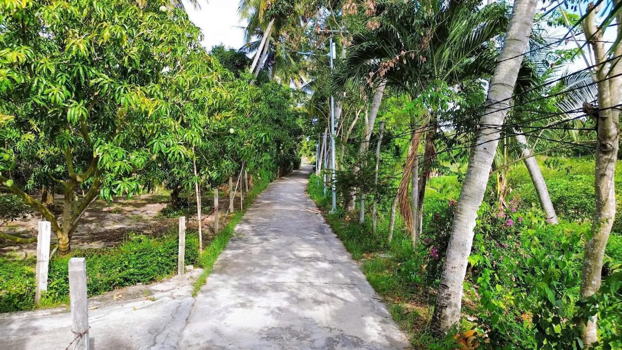 Đất nền Cam Đức 800m² giá chỉ 4XX triệu - Sổ hồng chính chủ, sẵn sàng giao dịch!