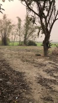 Đất cho thuê tại Quảng Thịnh, Thanh Hóa, diện tích 1000m² - Phù hợp làm xưởng, kho bãi