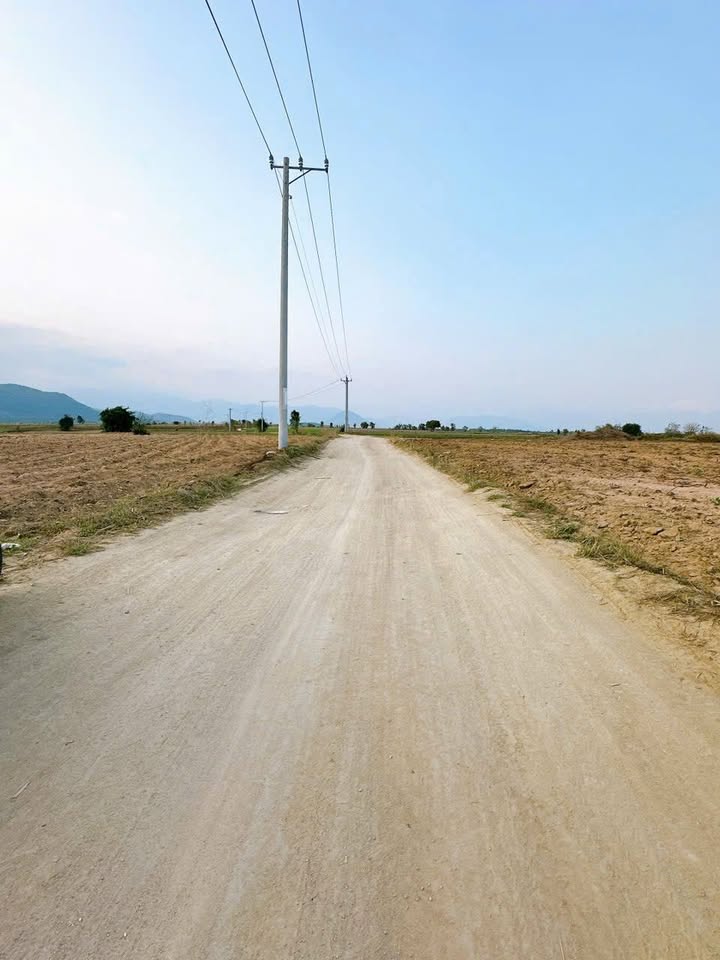 Đất Nền 1.000m² tại Ninh Sơn, Khánh Hòa - Chỉ 119 triệu, Sổ Riêng Chính Chủ!