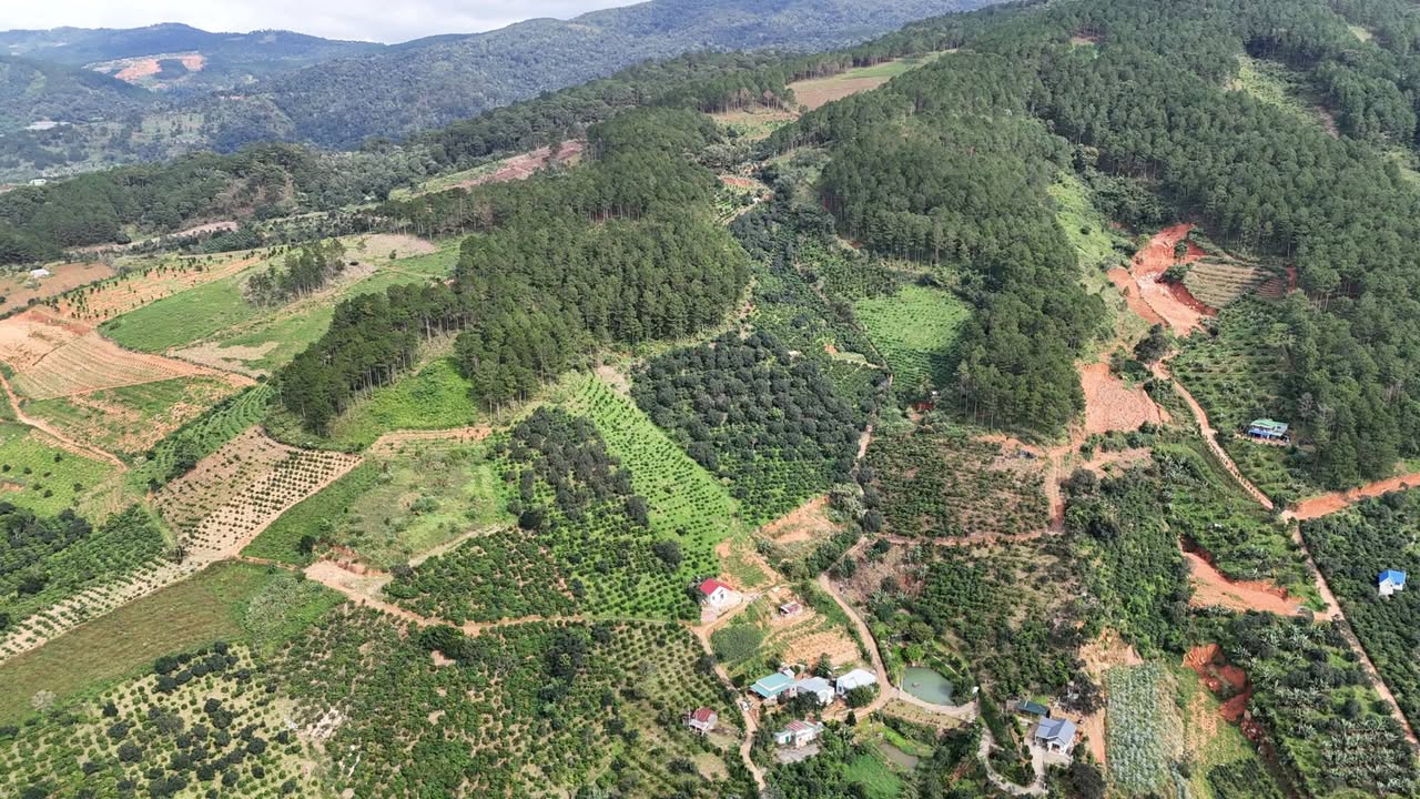 Đất nông nghiệp 1,8ha tại Mê Linh, Lâm Hà - Giá chỉ 6.84 tỷ, cơ hội đầu tư tuyệt vời!