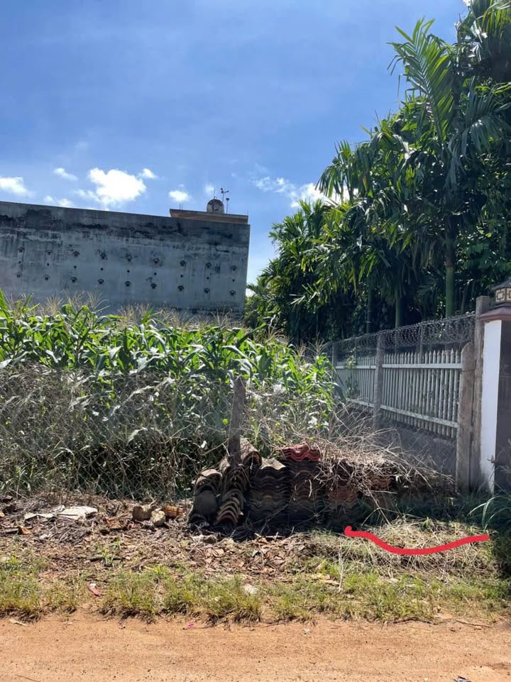 Đất thổ cư Tân Lập 105m² giá 882 triệu - Vị trí đắc địa gần sân bay!