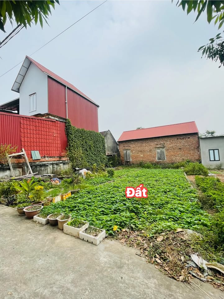 Đất nền Thọ Lộc Phúc Thọ 54m² giá chỉ 3 triệu/m² - Đường ô tô vào tận nơi!