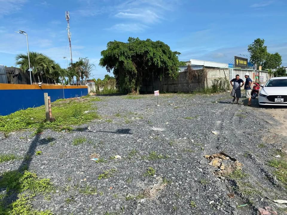 Đất cho thuê tại Vĩnh Long 500m² giá 8 triệu - Hỗ trợ xây dựng theo yêu cầu!