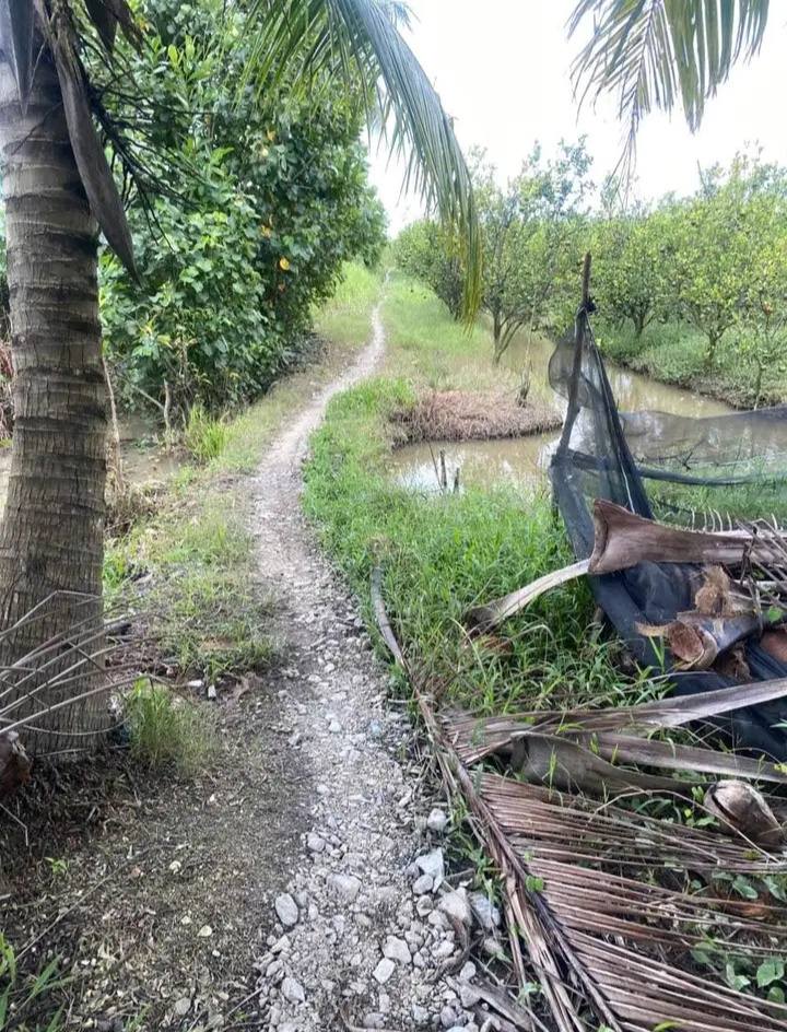 Đất Thới Hòa Trà Ôn 884m² giá chỉ 85 triệu - Cơ hội đầu tư hấp dẫn!