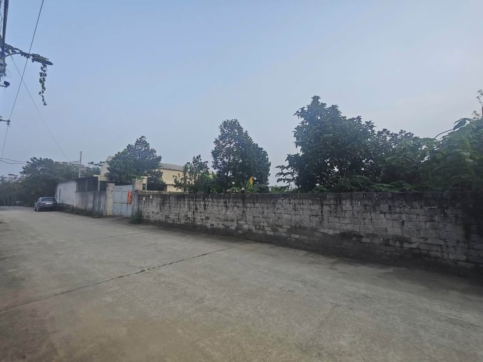 Đất nền 3 sào mặt trục chính đường Bưu Điện, Quốc Oai - Chỉ 2.5 tỷ!