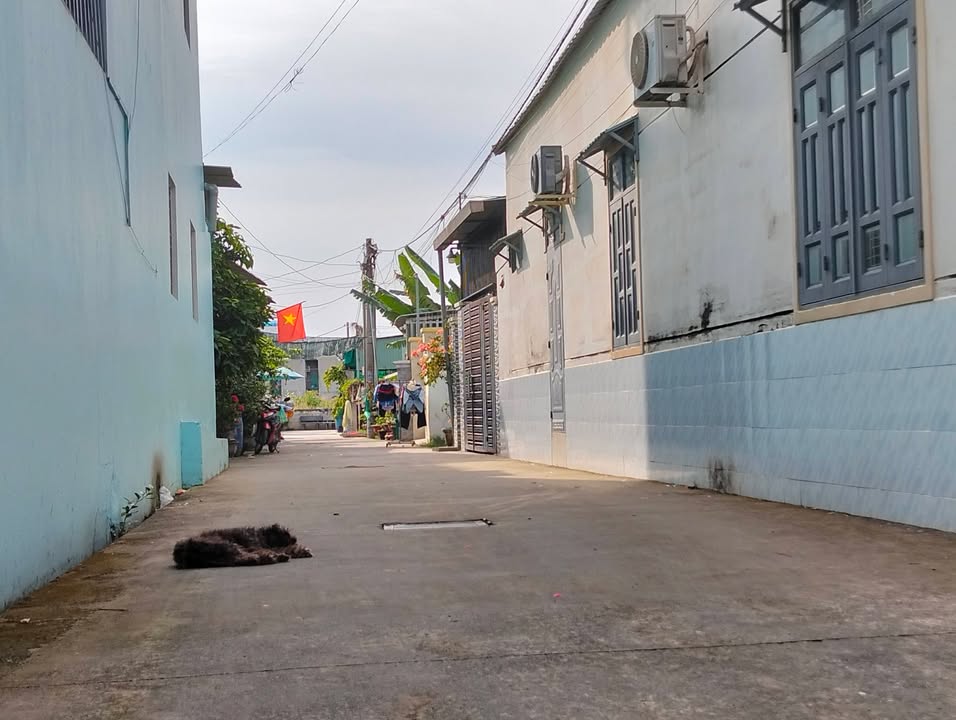 Đất nền Phước Thiền Nhơn Trạch 110m² giá 1.2 tỷ - Sổ đỏ chính chủ