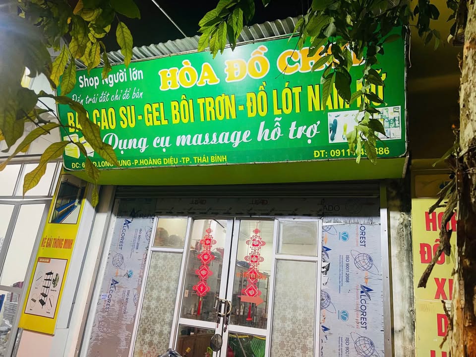 Đất vàng Long Hưng, Hoàng Diệu, TP Thái Bình 62.4m² chỉ 3 tỷ - Đầu tư sinh lời ngay!