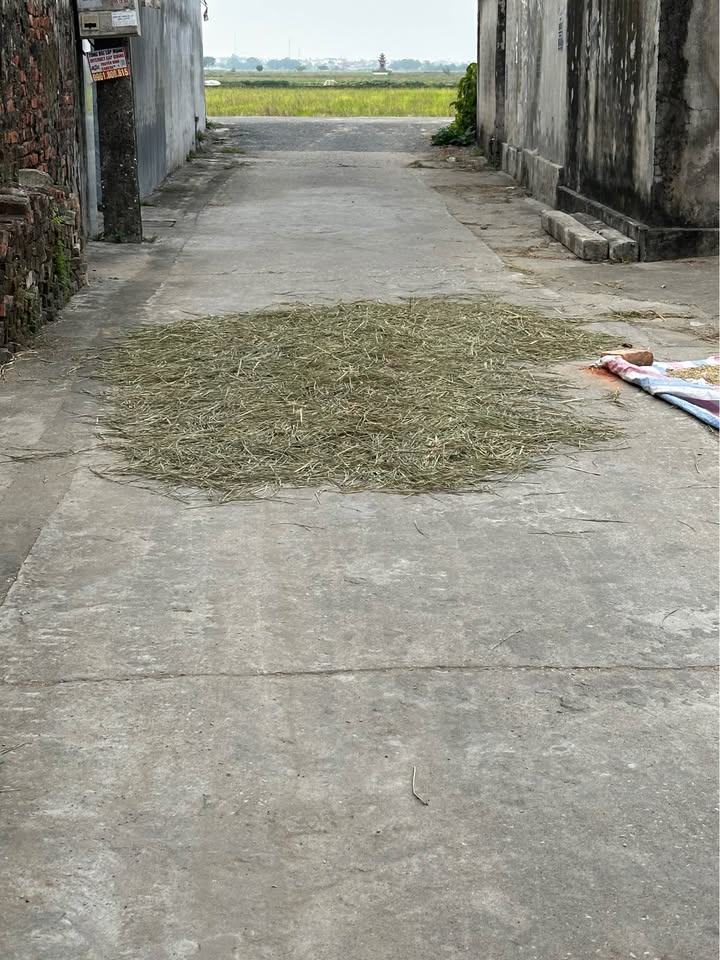 Đất nền Dương Phúc Thái Thụy 75m² giá 700 triệu - Gần khu công nghiệp Liên Hà Thái!