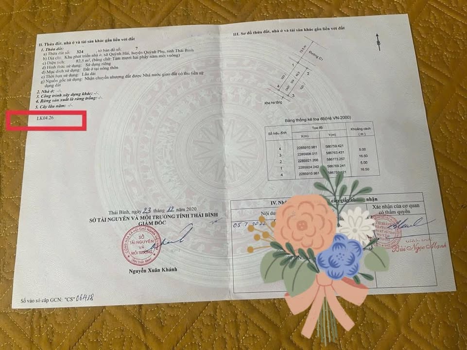 Đất nền Quỳnh Hải 82.5m² giá chỉ 1 tỷ - Vị trí đắc địa cho kinh doanh