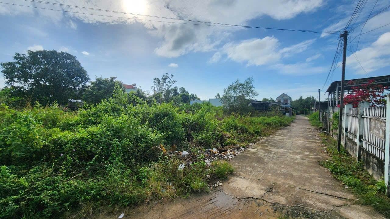 Đất nền Phan Chu Trinh, Tân Phước 290m² giá 1 tỷ - Đầu tư sinh lời ngay!