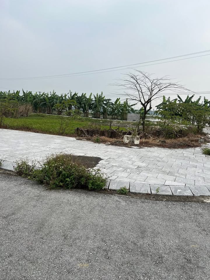 Đất đẹp 3 mặt tiền Hoằng Lộc 211.9m² giá 2.7 tỷ - Đầu tư sinh lời ngay!