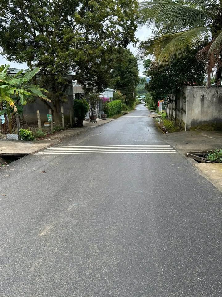 Đất thổ cư Phường Đắk Cấm 290m² giá 700 triệu - Cơ hội đầu tư tuyệt vời!