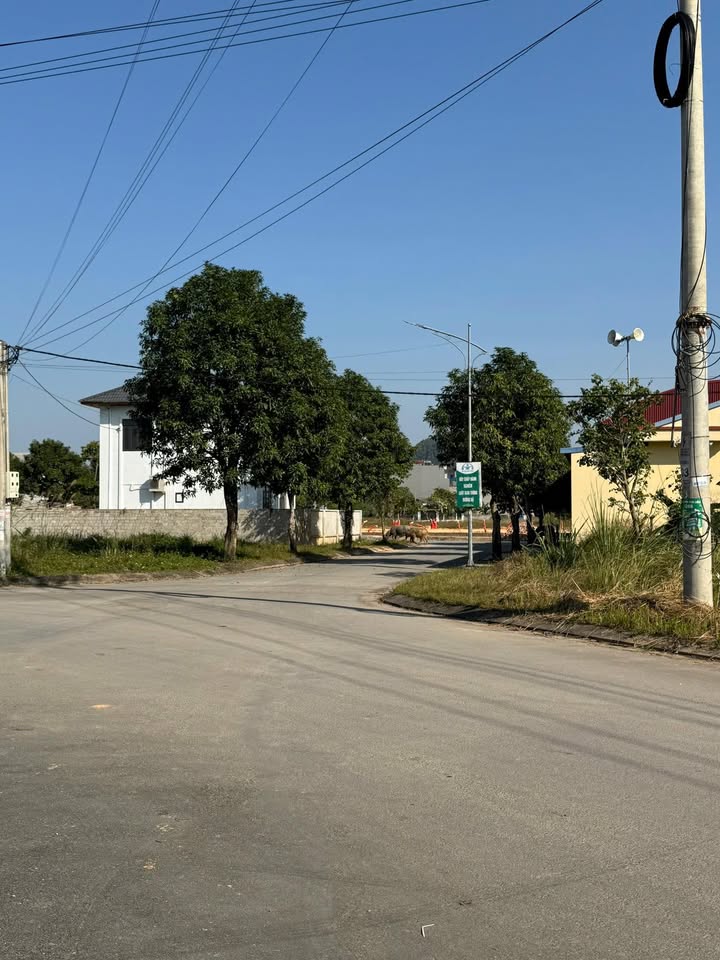 Đất nền Phổ Yên Thái Nguyên 100m² giá 2.5 tỷ - Đất cao ráo, không ngập lụt!