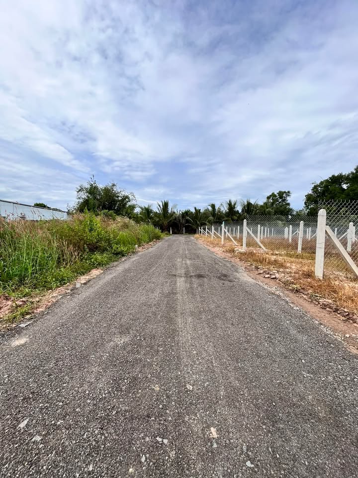 Đất nền 115m² tại ấp Cây Da, Gò Dầu chỉ 800 triệu - Sổ hồng riêng, chính chủ!