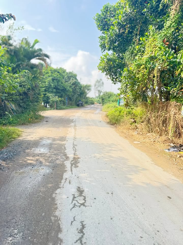 Nhà mặt tiền Đinh Viết Cừu, Tân An, 468m² giá 4.2 tỷ - Thiết kế theo yêu cầu!