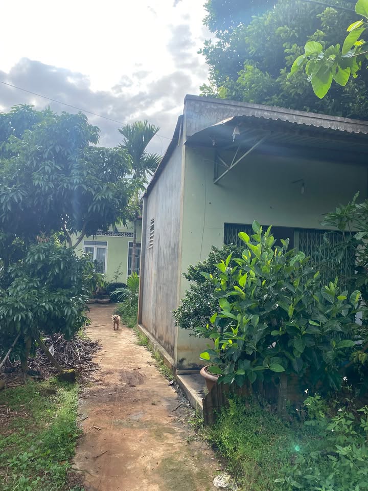 Nhà cấp 4 406m² tại xã Dur Kmăl, Krông A Na - Sẵn sàng dọn vào ở chỉ 1.4 tỷ!