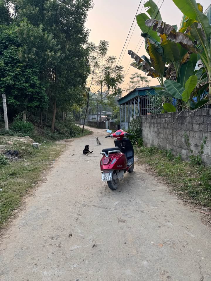 Đất nền thổ cư 160m² tại thôn 10 Lưỡng Vượng - Giá 800 triệu, hướng Đông, phù hợp xây dựng ngay!