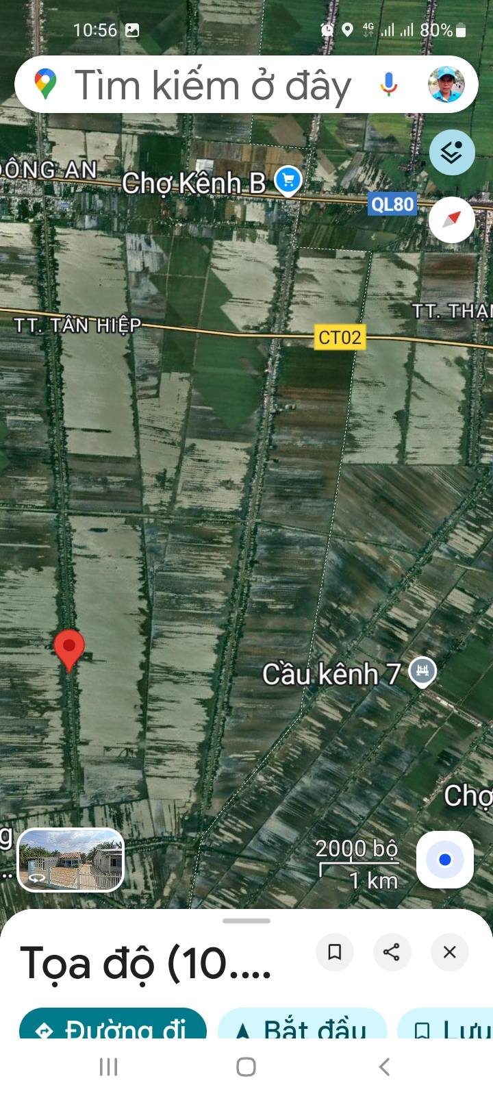 Đất nông nghiệp 1296m² tại Kinh Đông Bình, Tân Hiệp - Giá chỉ 2.8 tỷ!