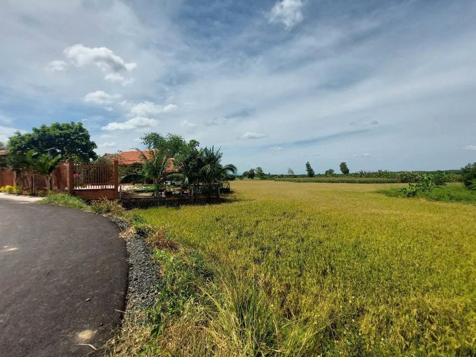 Đất Láng Dài, Đất Đỏ 1240m² giá 900 triệu - Cơ hội đầu tư tuyệt vời!