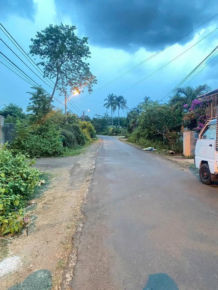 Đất nền mặt tiền Nguyễn Trường Tộ, phường Ea Tam, 176m² giá chỉ 1.49 tỷ - Cơ hội đầu tư hấp dẫn!