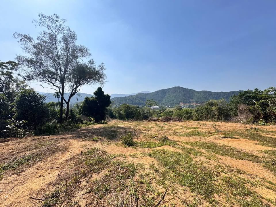 Đất thổ cư 1200m² mặt tiền 40m tại Yên Xuân, Hà Nội - Giá chỉ 11.1 tỷ!