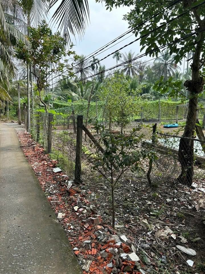 Đất nền liền kề Phong Nẫm 200m² giá 450 triệu - Xây dựng ngay!