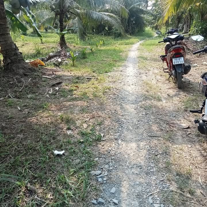 Đất vườn dừa khô 2913m² tại ấp Bình Đông, Bến Tre - Giá chỉ 450 triệu!