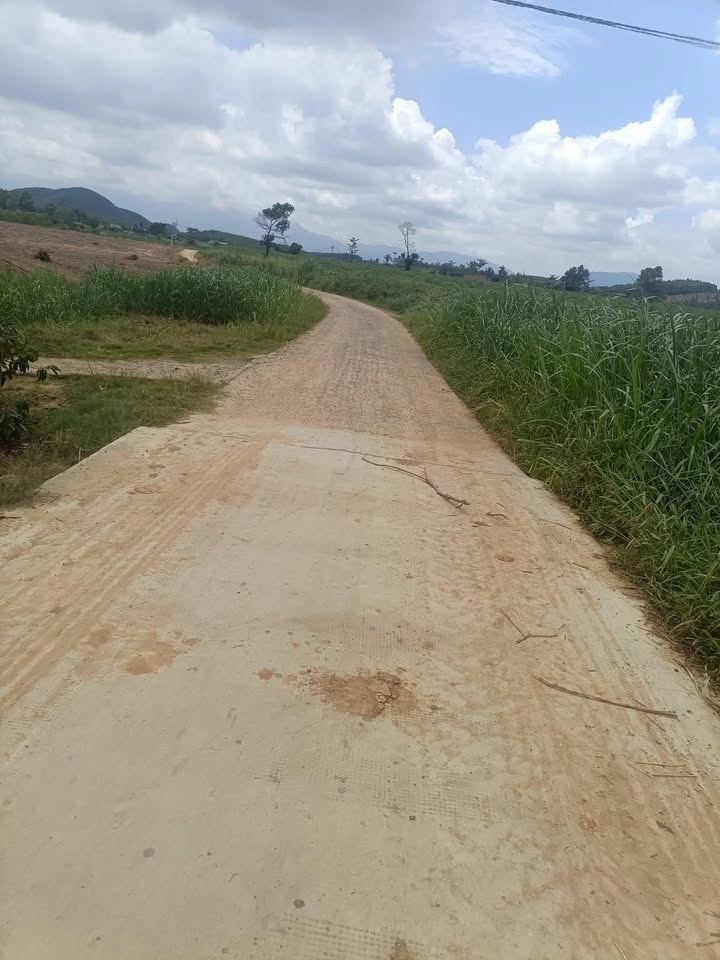 Đất thổ cư 1,6ha tại Ea Mlay, M'Đrắk - Giá chỉ 1,2 tỷ, gần mọi tiện ích!