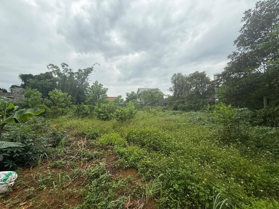 Đất nền phân lô Đông Sơn, Chương Mỹ 1600m² - Giá chỉ vài triệu!