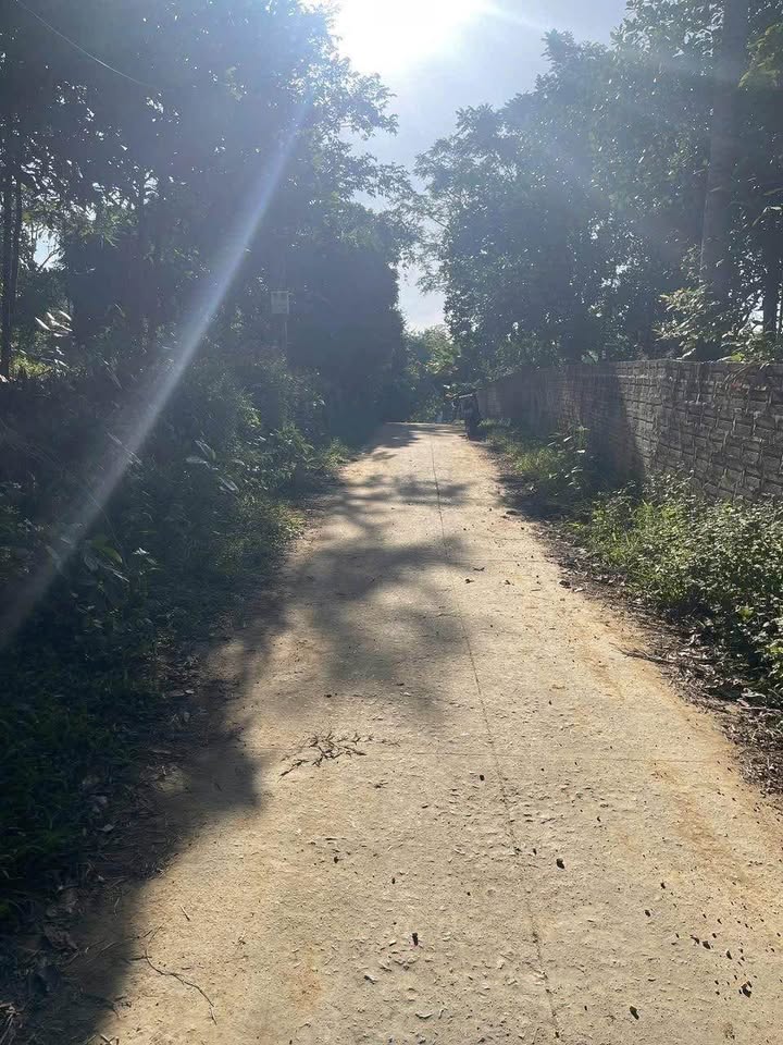 Đất vườn 4000m² tại Phú Đô, Phú Lương chỉ 1.72 tỷ - Thế đất đẹp, tiềm năng phát triển!