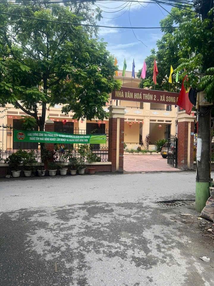 Đất nền lô góc 50m² tại Song Phương, Hoài Đức - Đầu tư sinh lời ngay!