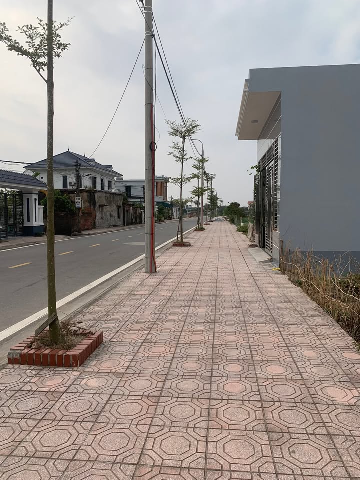 Đất nền Vân Trường Tiền Hải Thái Bình 117m² giá 1.256 tỷ - Cơ hội đầu tư hấp dẫn!