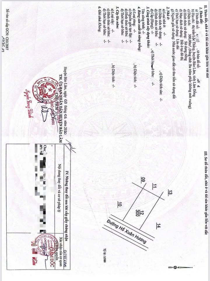 Đất nền đường Hồ Xuân Hương, Lộc Thắng, 300m² giá chỉ 1.3 tỷ - Đầu tư sinh lời ngay!
