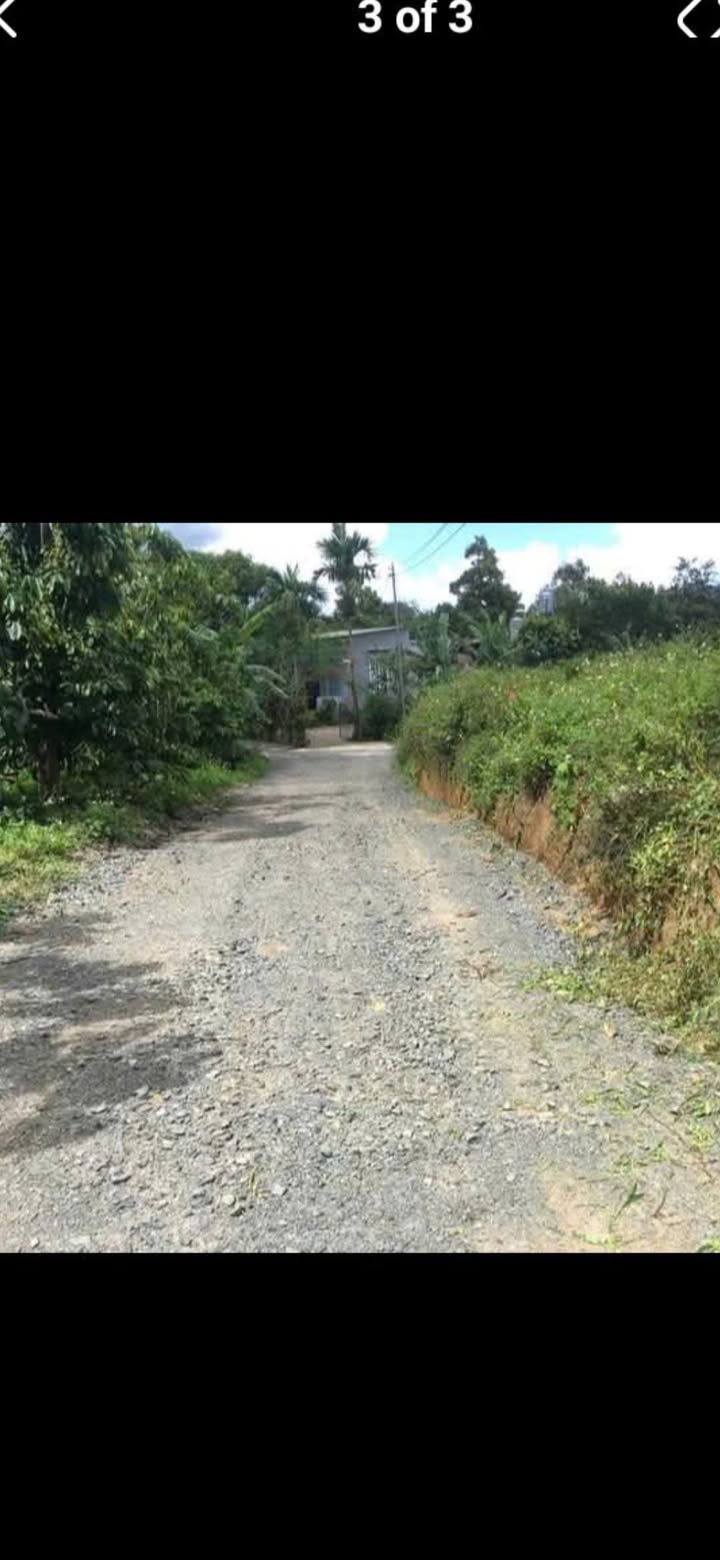 Đất thổ cư Lộc Thành, Bảo Lâm 130m² giá 650 triệu - Nhanh tay sở hữu!