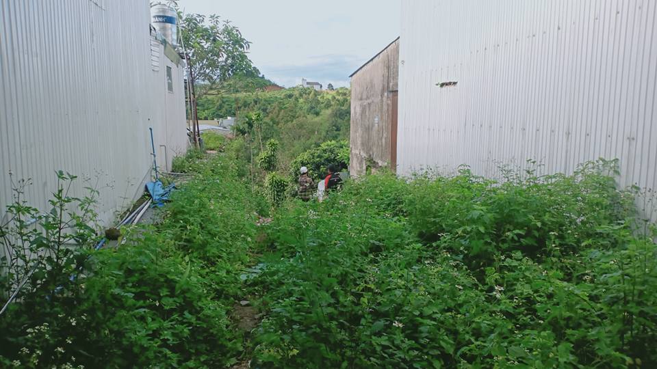 Đất nền mặt tiền Quốc lộ 20, Bảo Lộc 240m² giá 1.45 tỷ - Cơ hội đầu tư hấp dẫn!