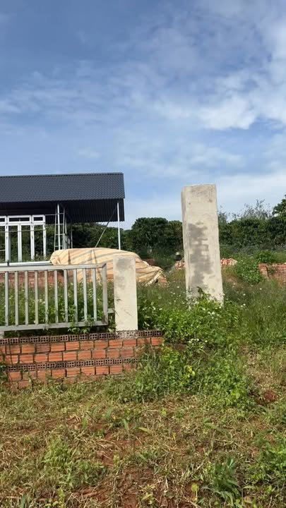 Đất nền Tân Hà, Lâm Hà 1600m² giá 1.6 tỷ - Đầu tư sinh lời ngay!