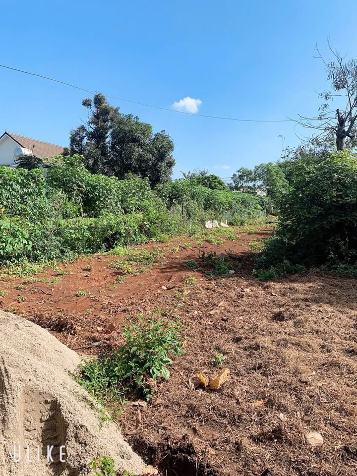 Đất nền Ea Kao 130m² giá 1.25 tỷ - Vị trí đẹp gần chợ