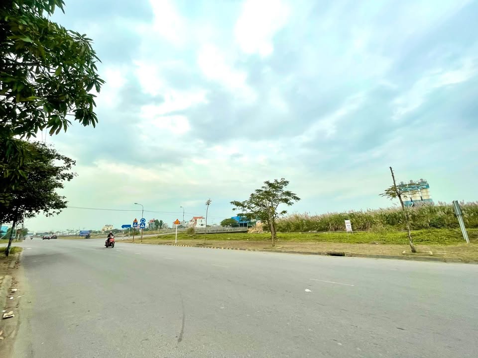 Đất nền tại đường Nguyễn Viết Xuân, phường Cao Xanh 146m² - Đầu tư sinh lời hấp dẫn!