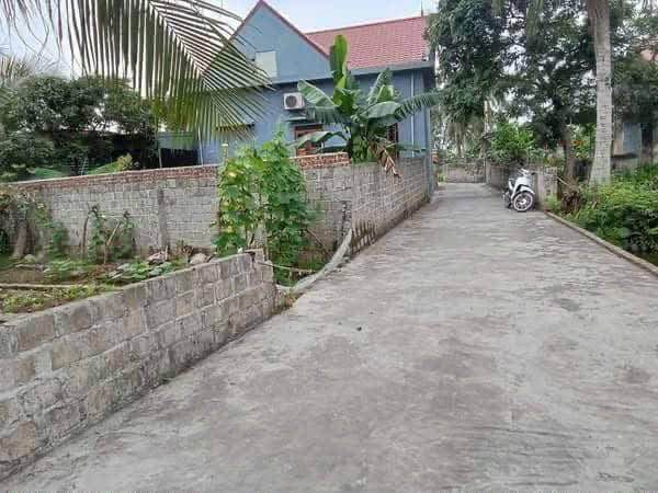 Đất nền Vĩnh Hòa Vĩnh Bảo 133m² giá chỉ 600 triệu - Đường thông các ngả