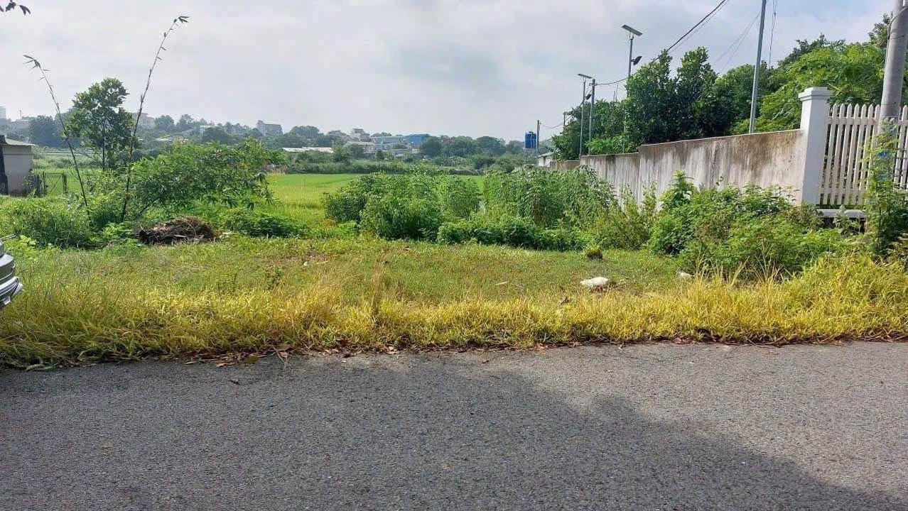 Đất thổ cư Hiệp An, Thủ Dầu Một 517m² giá 4.2 tỷ - Đầu tư sinh lời lý tưởng!