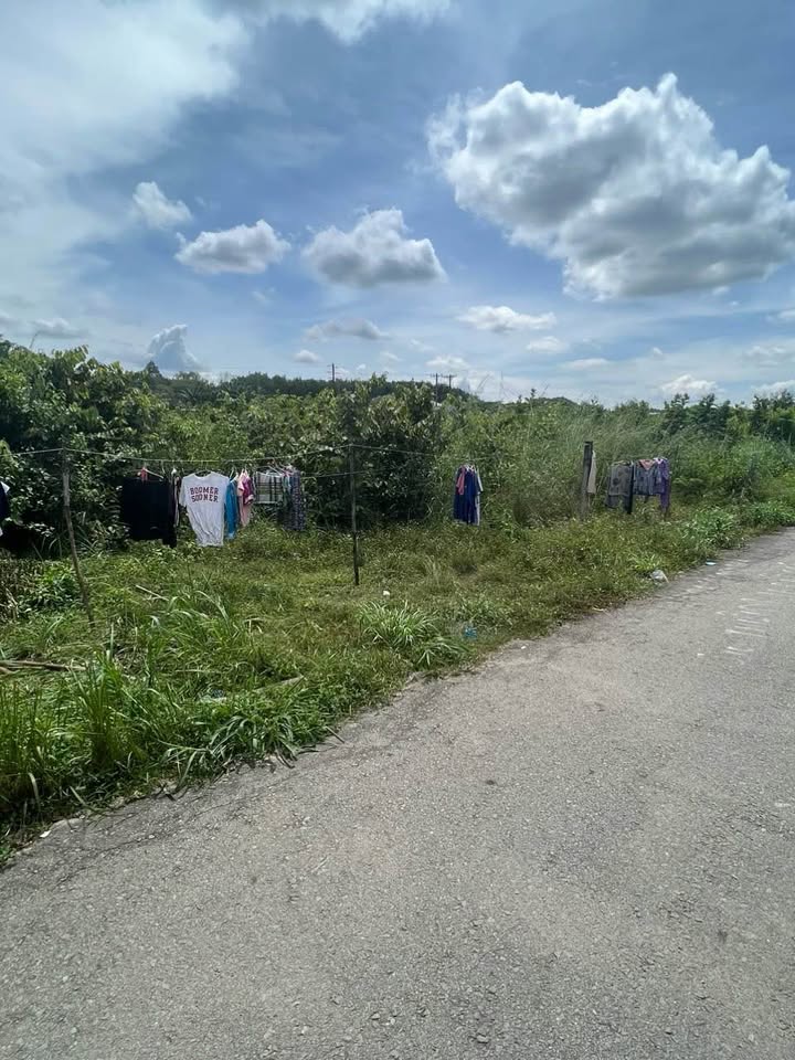 Đất nền An Tây Bến Cát 1200m² giá 6.5 tỷ - Cơ hội đầu tư hấp dẫn!