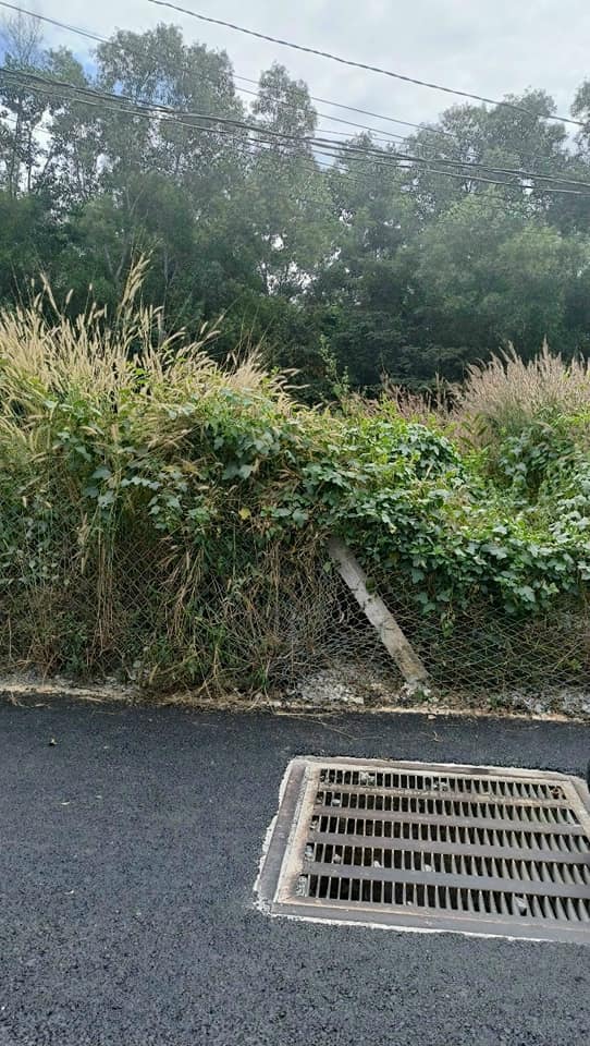 Đất thổ cư Uyên Hưng Tân Uyên 144m² giá 1.5 tỷ - Cơ hội đầu tư tốt!