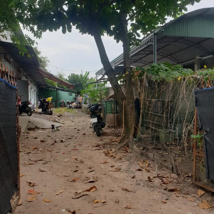 Đất thổ cư phường Tân An, Thủ Dầu Một 192m² giá 2.3 tỷ - Đầu tư sinh lời ngay!