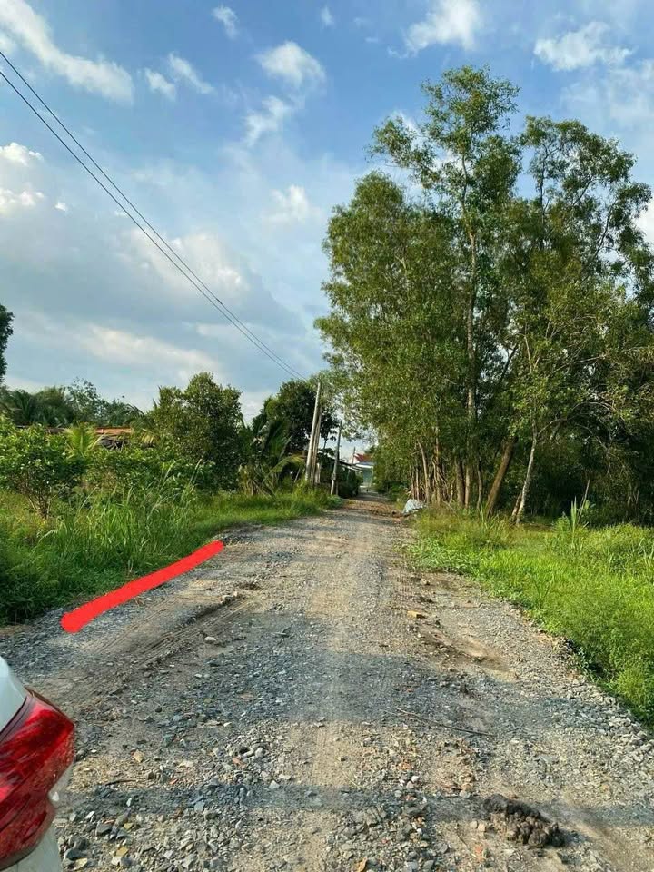 Đất nền Trường Đông, Hòa Thành, Tây Ninh 125m² giá 200 triệu - Đầu tư sinh lời ngay!