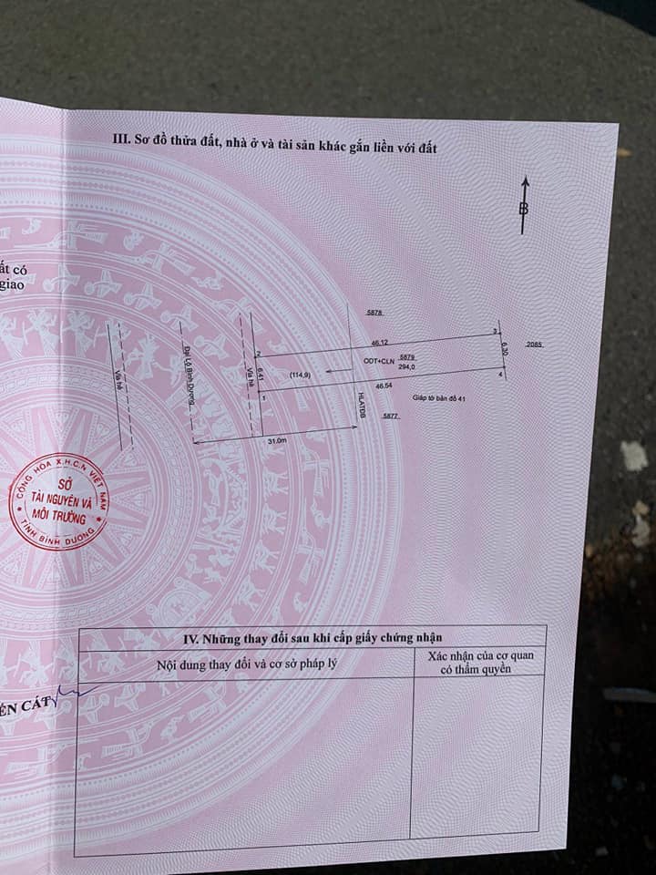 Đất mặt tiền Quốc lộ 13, Thới Hòa, Bến Cát 294m² - Vị trí kinh doanh đắc địa!