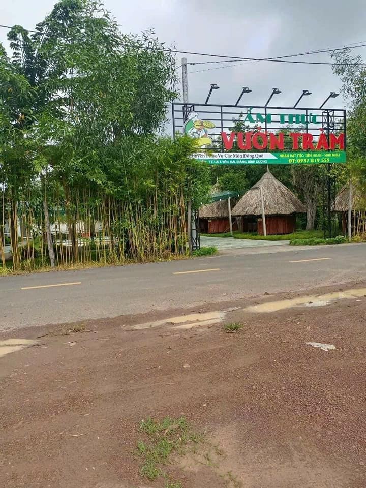 Đất mặt tiền Lai Uyên, Bàu Bàng 176m² giá chỉ 800 triệu - Kinh doanh thuận lợi!