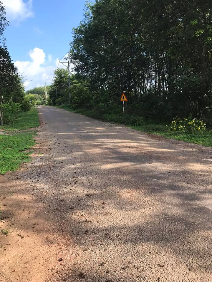 Đất nền Phú Giáo 517m² giá 2 tỷ - Sổ hồng riêng, pháp lý rõ ràng!